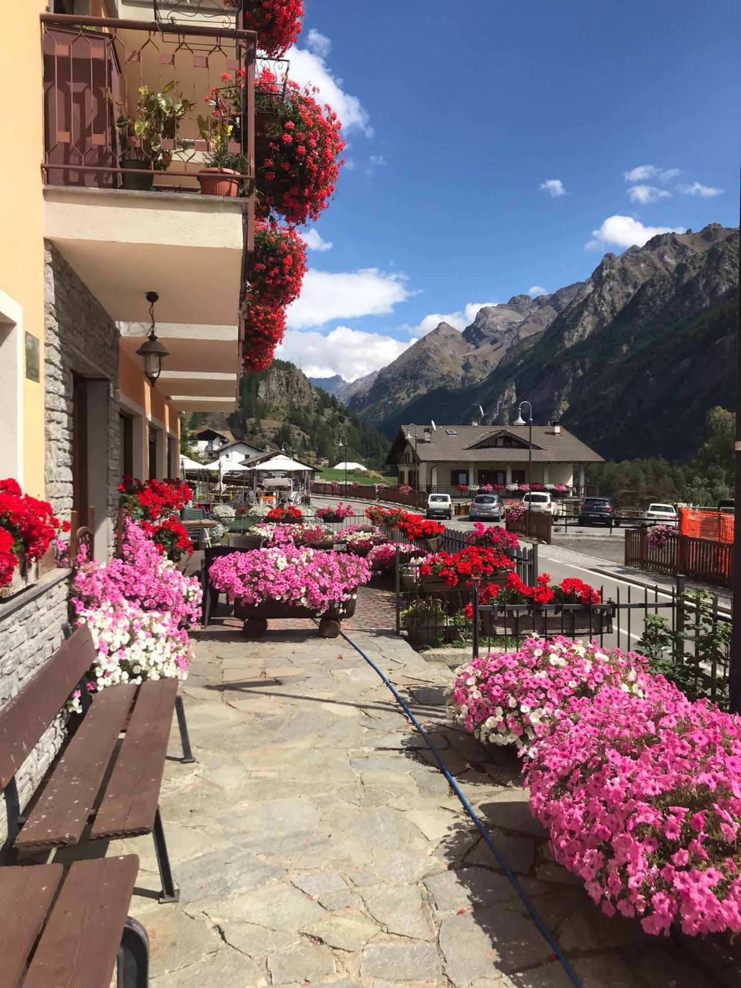 Albergo Valentino Bionaz Екстериор снимка