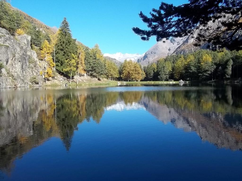 Albergo Valentino Bionaz Екстериор снимка