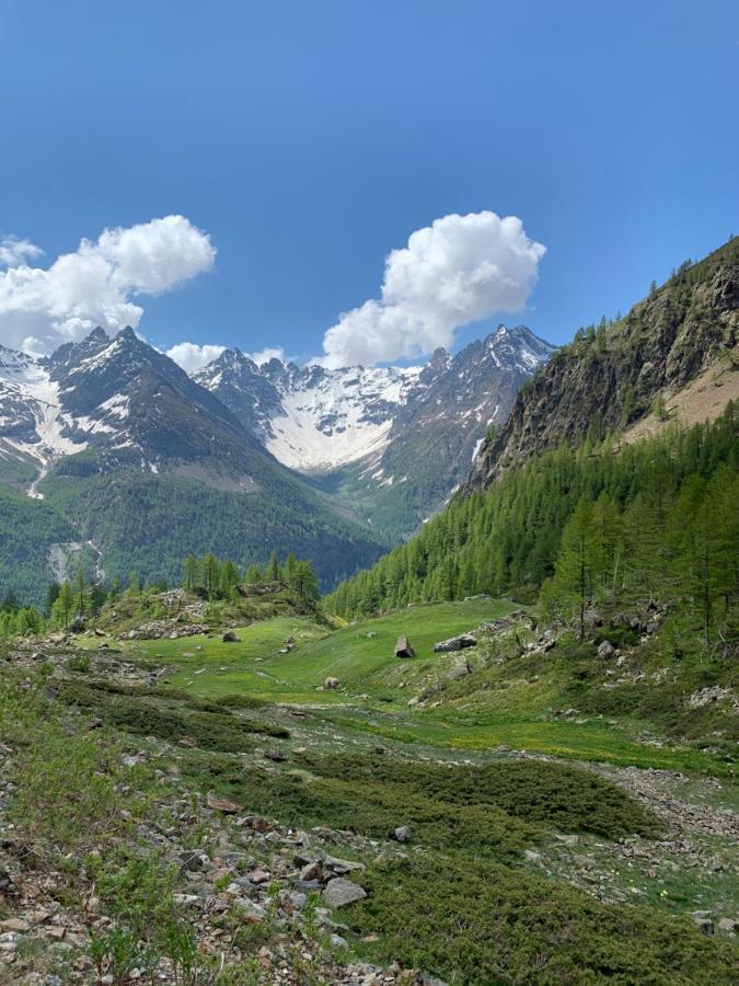 Albergo Valentino Bionaz Екстериор снимка